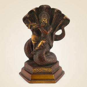 Pure Brass Vishnu
