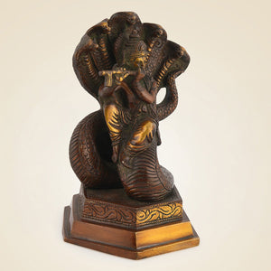 Pure Brass Vishnu