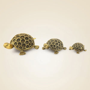 Brass Tortoise
