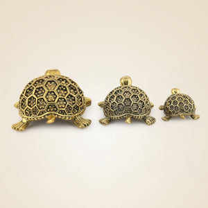 Brass Tortoise